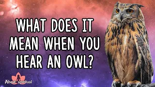 What Does It Mean When You Hear An Owl (Hoot At Night | During The Day | In The Morning | In Dream)