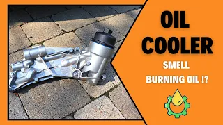 How To Replace Oil Cooler Assembly [ Chevrolet Cruze/Sonic/Holden Barina 1.8L 1st Gen 2011-16 ]