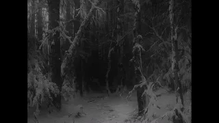 Hiemal - Wanderings Within Forests of Despondency  (2018)