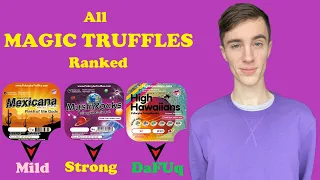 What Are The Best Magic Truffles Available? | ALL MAGIC TRUFFLES RANKED