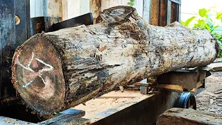 Cutting the old teak wood branch that has been aged for tens of years