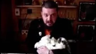 Виктор Пузо и кошки