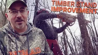 Mark Drury's Tips and Tricks for Timber Stand Improvement!