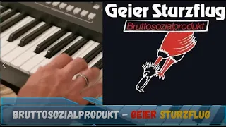 Bruttosozialprodukt - Geier Sturzflug - Coverversion - Yamaha SX 600 - Genos / Tyros