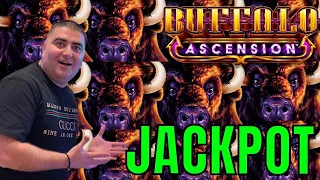 Winning JACKPOT On  Buffalo Ascension Slot Machine