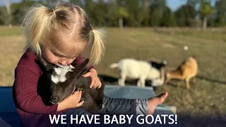 Our Family is Growing - We have Baby Goats!