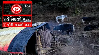 चौरी गोठको कथा || Nadekhiyako Drisya Ep.5 Chauri Kharka Story Of Himalayan Tenjen Sherpa.