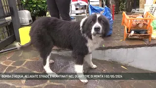 BOMBA D'ACQUA: ALLAGATE STRADE E SCANTINATI NEL QUARTIERE DI MONTA' | 02/05/2024