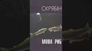 Скрябін - Осінь-Зима