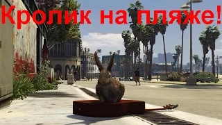 GTA 5 - Кролик на пляже (Приколы)