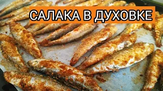 Салака в духовке /два способа приготовления