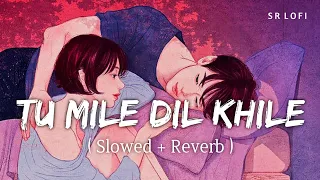 Tu Mile Dil Khile (Slowed + Reverb) | Asees Kaur, Stebin Ben | SR Lofi