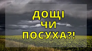 ПОГОДА НА ТИЖДЕНЬ! Яка буде погода 5-10 ВЕРЕСНЯ?