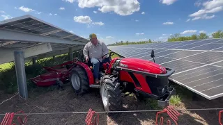 Antonio Carraro Tigre 3800 - Solar Farm Mowing
