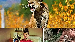 Recent Fatal & Non Fatal Mountain Lion Attacks & things we can learn