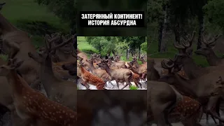 Учёные нашли новый континент