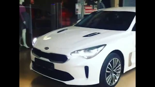 KIA Stinger в Торговом Парке №1