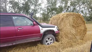 По засохшему болоту. Осенние покатухи Subaru. ForesterChallengeNSK. Subaruing in MUD