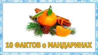 10 ФАКТОВ о МАНДАРИНАХ