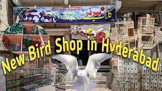 New Bird Shop Hyderabad | visit bird shop | bird accessories, bird cages, panhwar bird lover