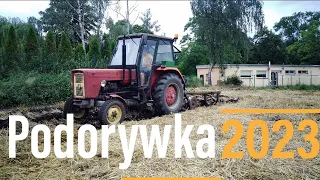 🇵🇱Podorywka pełną parą🇵🇱Ursus C-360 ma co robić🔥