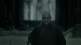 Harry vs Voldemort Part 1 (Open matte)