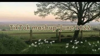 TikTok mashup-June 2022