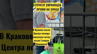 Бесплатные парикмахеры для украинских беженцев в Кракове стригут прямо на улице!