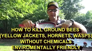 KILL YELLOW JACKETS NEST (ground bees)WITHOUT POISON OR CHEMICALS...IT ACTUALLY WORKS!