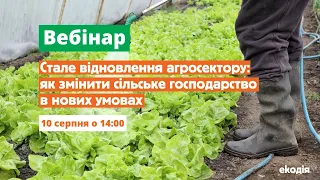 Стале відновлення агросектору: як змінити сільське господарство в нових умовах | Вебінар