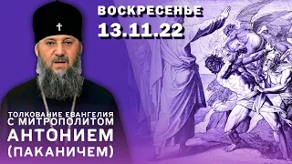 Толкование Евангелия с митр. Антонием (Паканичем). Воскресенье, 13 ноября 2022 года