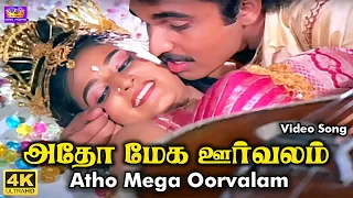 Adho Mega Oorvalam Video Song | அதோ மேக ஊர்வலம் | Siva, Mohini | Mano, S. Janaki | Ilaiyaraaja