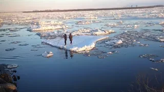Отправились в путешествие на льдине