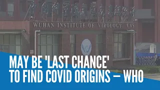 May be 'last chance' to find COVID origins — WHO