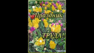 С ПРАЗДНИКОМ, ДОРОГИЕ ДРУЗЬЯ!!! 30.04.24