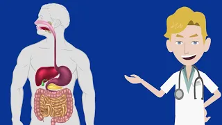 Lesson 6: Diabetes Medications (English)