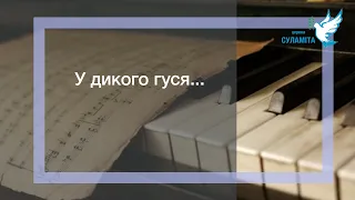 У дикого гуся... - Павло Міщук і Віктор песня