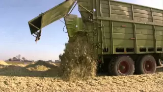 Kukurydza 2010 - Claas, John Deere, JCB...