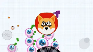 PRO 🐕 ! (Agar.io Mobile)