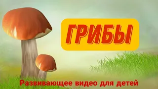 ГРИБЫ для детей. Лексическая тема "ГРИБЫ".🍄 ИЗУЧАЕМ ГРИБЫ. Развивающее видео