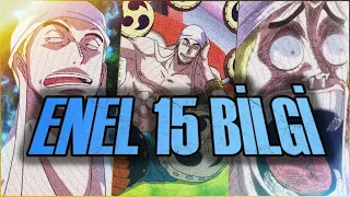 Enel Hakkinda 15 Bilgi