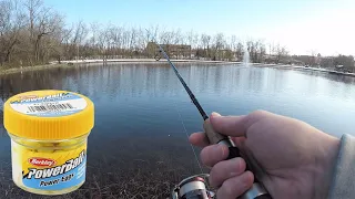 TROUT FISHING with Powerbait Power Eggs (Stocked Trout CHEAT CODE!)