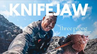 Three prong spearfishing UP NORTH Maui