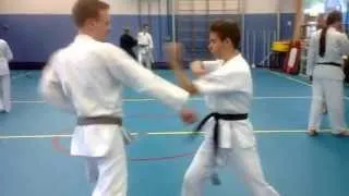 Naihansi bunkai