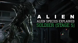 The Soldier Xenomorph (Warrior and Sentry) Stage 5 XX121 - Alien Species Explained