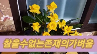 [오디오북]참을수없는존재의가벼움 3부 이해받지 못할 말들 5