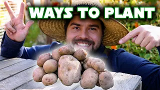 3 Ways I Am Growing Potatoes In My Garden