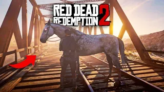 You'll Never Ride Arabian Horses If You Ride This N10 - RDR2