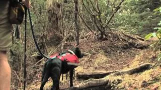 Trevor Thomas the Blind Hiker completes the Mountain to Sea Trail