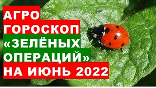 Агрогороскоп "зелёных операций" на растениях в июне 2022 года